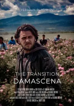 Дамасцена. Перерождение онлайн