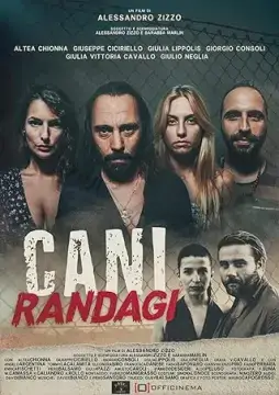 Бродячие псы онлайн