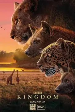 Царство животных онлайн